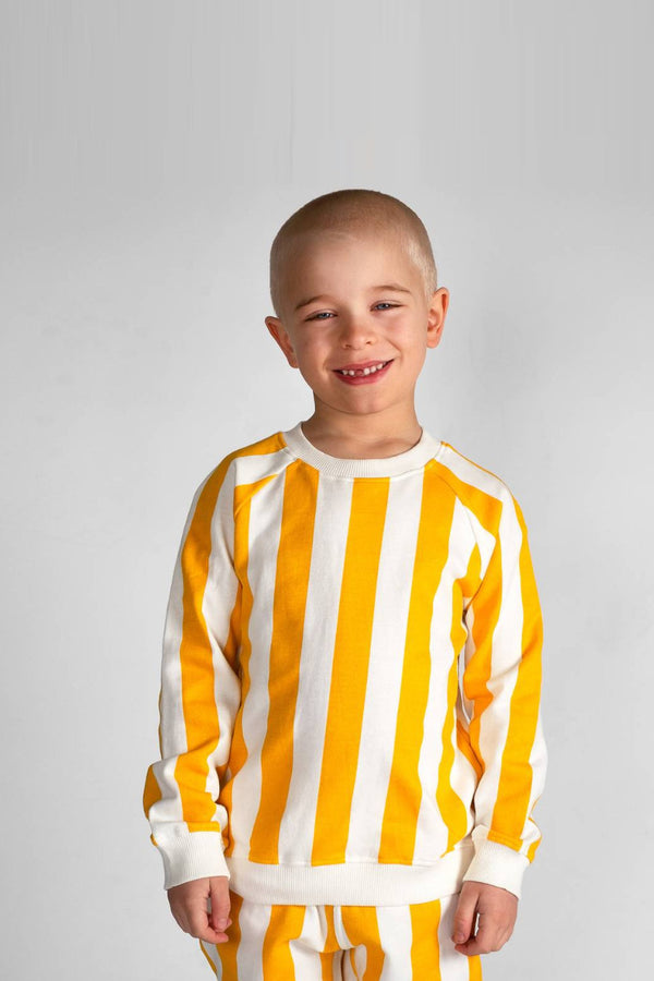 DEDICATED Stripe Swetari